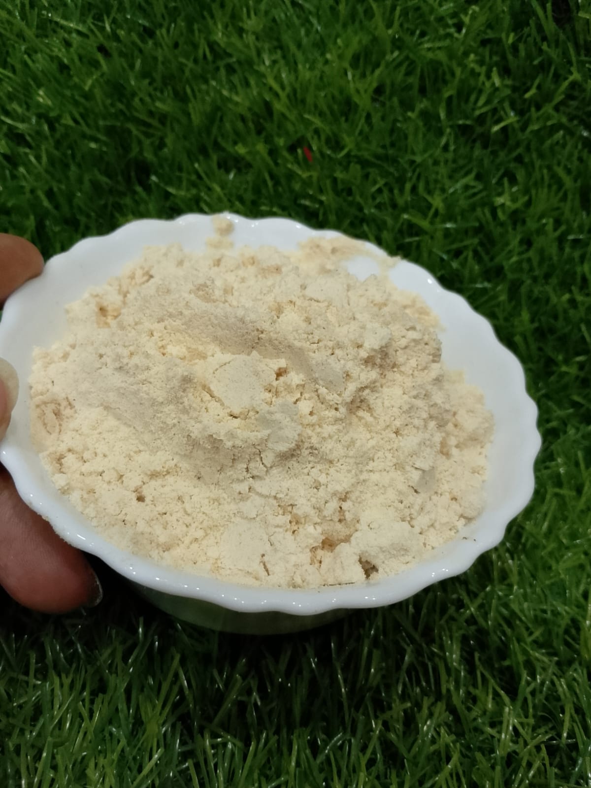 Garlic Powder
